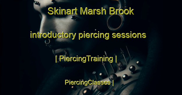 Skinart Marsh Brook introductory piercing sessions | PiercingTraining | PiercingClasses | SkinartTraining-Canada